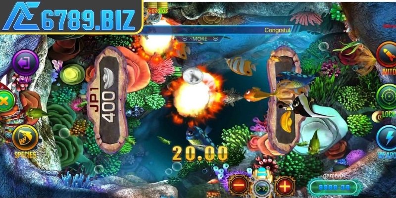 Mèo Bắt Cá AE6789 - Trải Nghiệm Săn Cá Hấp Dẫn và Sinh Động 3 Sử dụng đúng cho từng mục tiêu